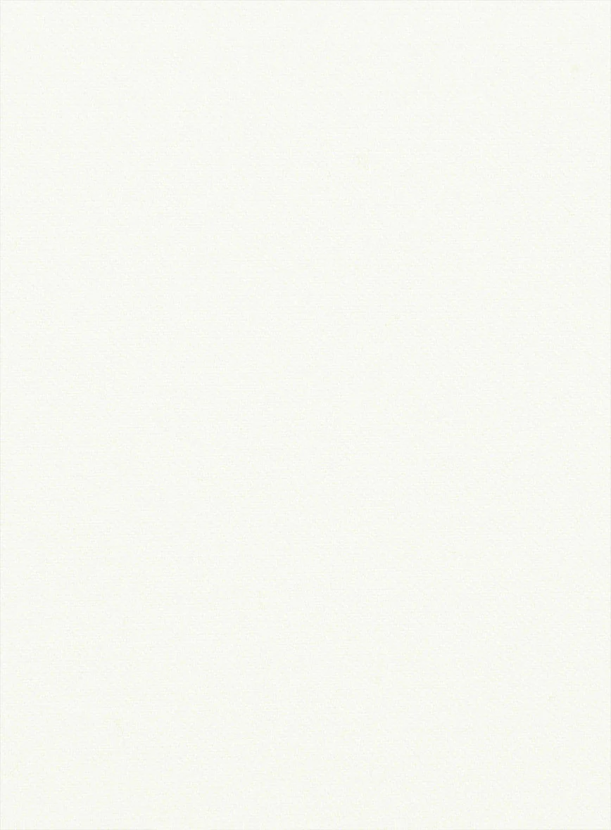 Women's Ivory Wool Pants - Image 2
